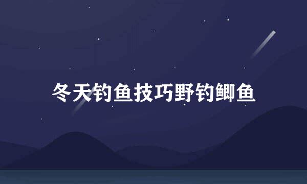 冬天钓鱼技巧野钓鲫鱼