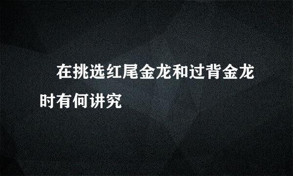 ​在挑选红尾金龙和过背金龙时有何讲究