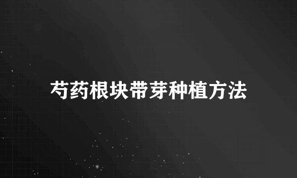 芍药根块带芽种植方法