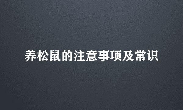 养松鼠的注意事项及常识