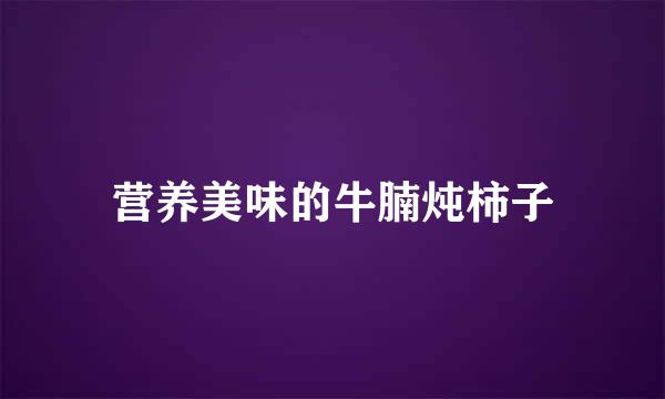 营养美味的牛腩炖柿子