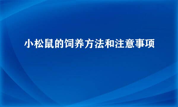 小松鼠的饲养方法和注意事项