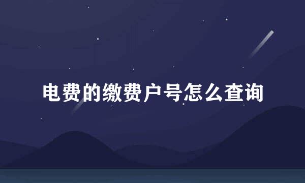 电费的缴费户号怎么查询