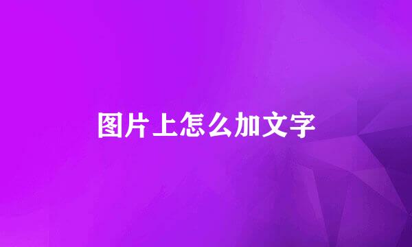 图片上怎么加文字