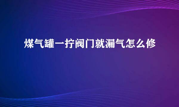 煤气罐一拧阀门就漏气怎么修