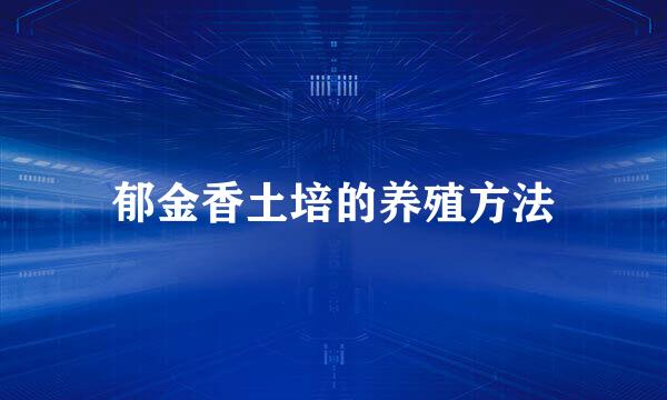 郁金香土培的养殖方法