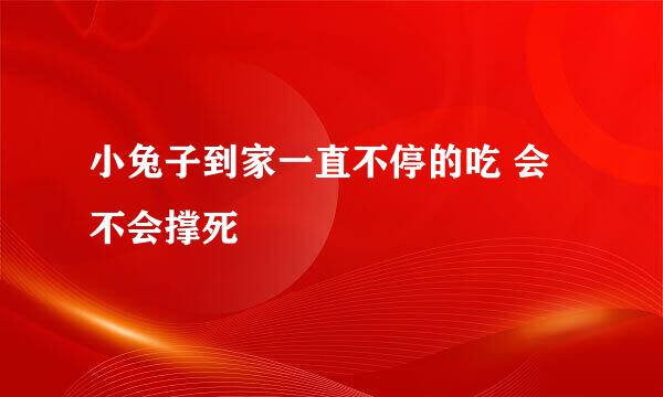 小兔子到家一直不停的吃 会不会撑死