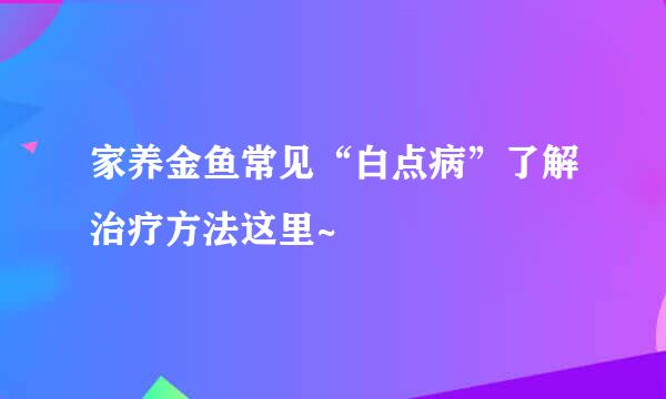 家养金鱼常见“白点病”了解治疗方法这里~