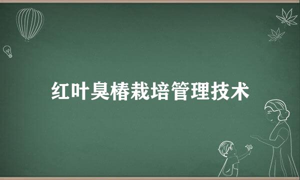 红叶臭椿栽培管理技术