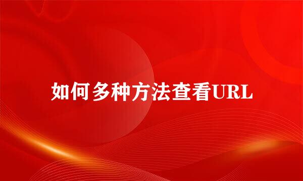 如何多种方法查看URL
