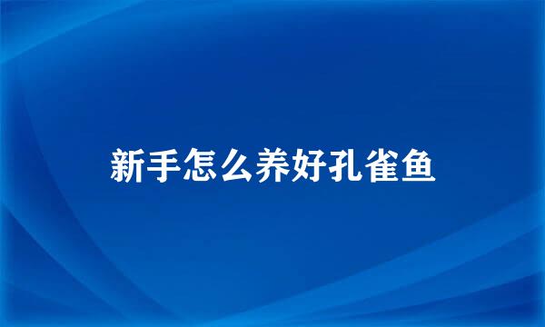 新手怎么养好孔雀鱼