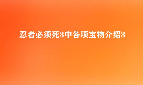 忍者必须死3中各项宝物介绍3