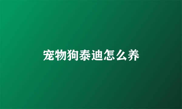 宠物狗泰迪怎么养