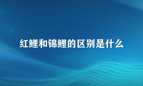 红鲤和锦鲤的区别是什么