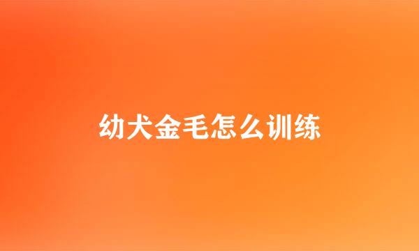幼犬金毛怎么训练