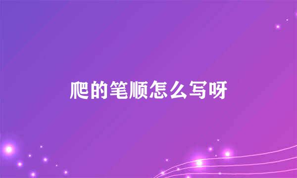 爬的笔顺怎么写呀