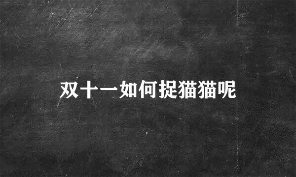 双十一如何捉猫猫呢