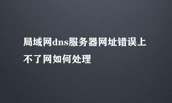 局域网dns服务器网址错误上不了网如何处理