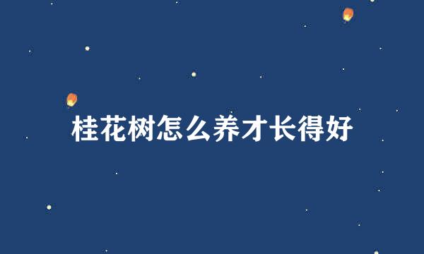 桂花树怎么养才长得好