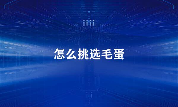 怎么挑选毛蛋