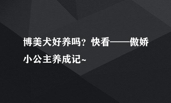 博美犬好养吗？快看——傲娇小公主养成记~