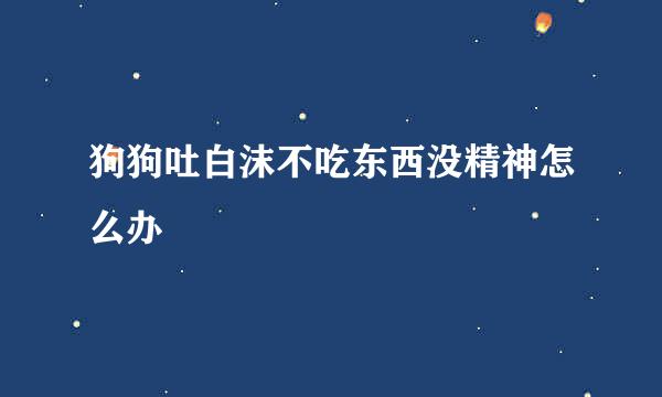 狗狗吐白沫不吃东西没精神怎么办