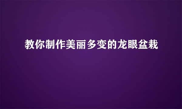 教你制作美丽多变的龙眼盆栽