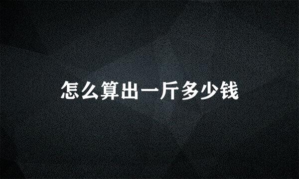 怎么算出一斤多少钱