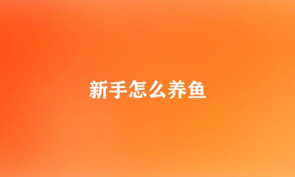 新手怎么养鱼