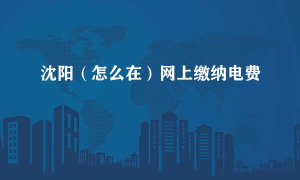 沈阳（怎么在）网上缴纳电费