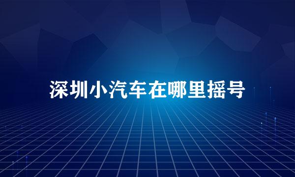 深圳小汽车在哪里摇号