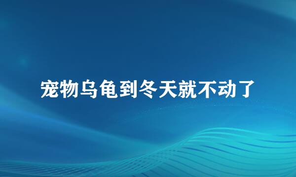 宠物乌龟到冬天就不动了