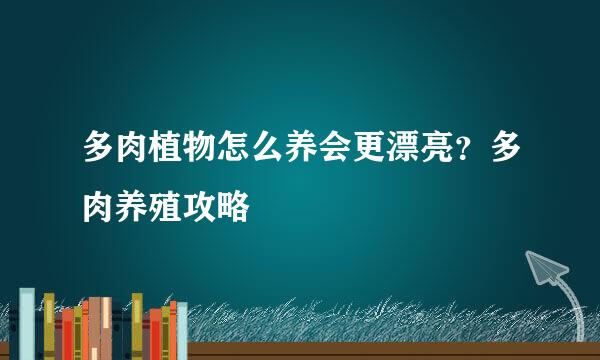多肉植物怎么养会更漂亮？多肉养殖攻略