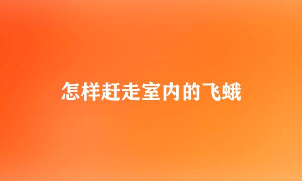怎样赶走室内的飞蛾