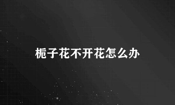 栀子花不开花怎么办