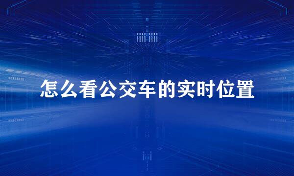 怎么看公交车的实时位置