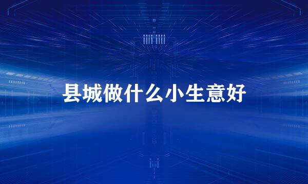 县城做什么小生意好