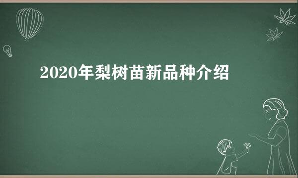 2020年梨树苗新品种介绍