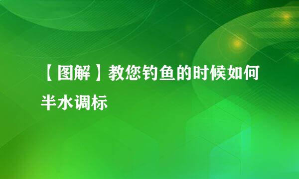 【图解】教您钓鱼的时候如何半水调标