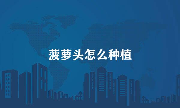 菠萝头怎么种植