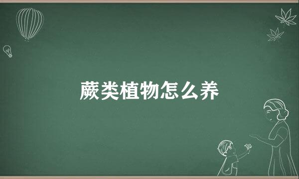 蕨类植物怎么养