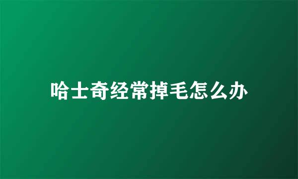 哈士奇经常掉毛怎么办