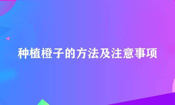 种植橙子的方法及注意事项