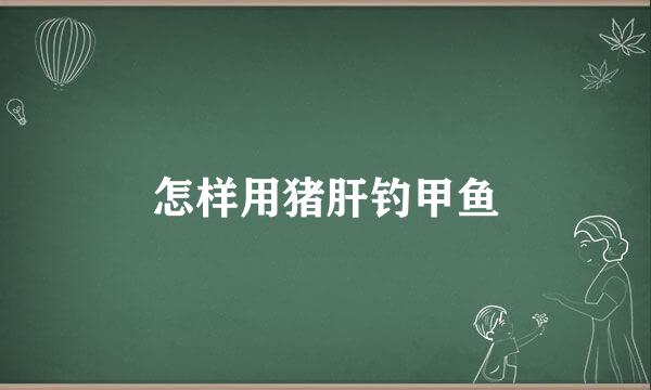怎样用猪肝钓甲鱼