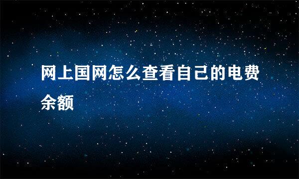 网上国网怎么查看自己的电费余额