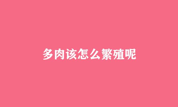 多肉该怎么繁殖呢