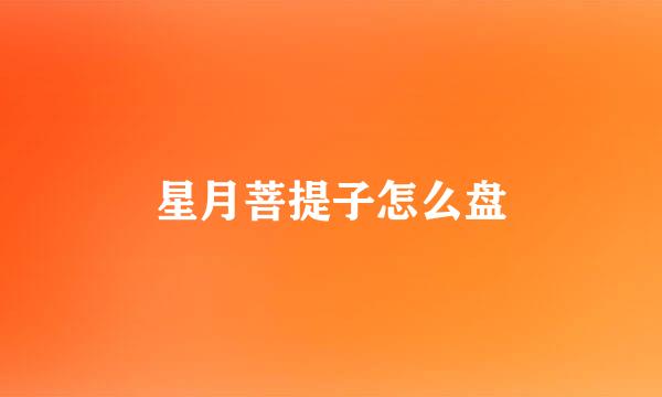 星月菩提子怎么盘