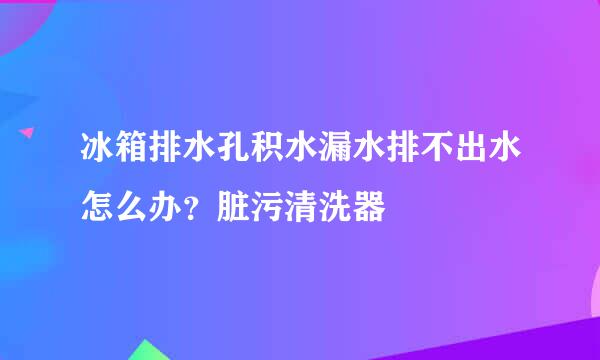 冰箱排水孔积水漏水排不出水怎么办？脏污清洗器