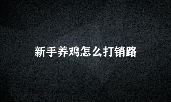 新手养鸡怎么打销路