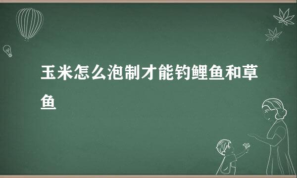 玉米怎么泡制才能钓鲤鱼和草鱼